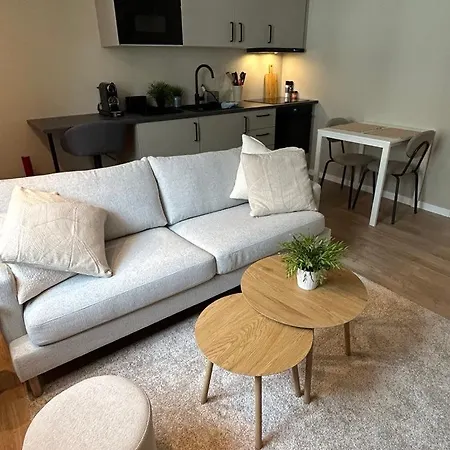 Moderne Og Sentral Ved Sjoen